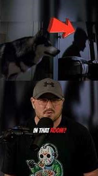 Whose Room Did the Dog Enter? EXPLAINED 👀❄️