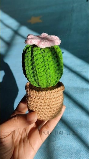 Crochet Cactus Tutorial You Can Finish In 30 Minutes #crochet #cactus #amigurumi