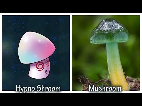 Plants Vs Zombies 1&2 All Characters in Real Life part 5