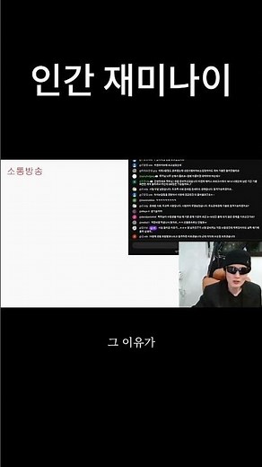 인간 재미나이
