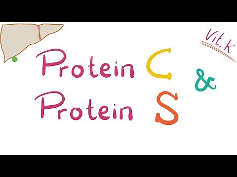 Protein C and Protein S - Inhibitors of coagulation - Protein C Deficiency, Protein S Deficiency