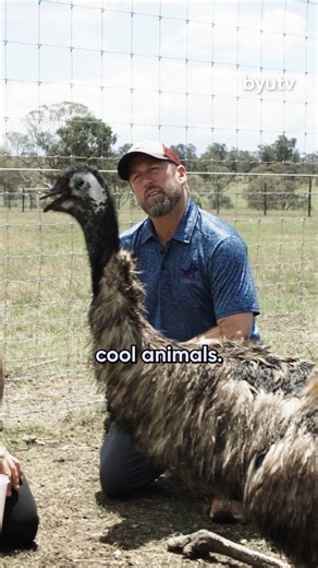 The wait is over… Season 7 of The Wizard of Paws premieres TONIGHT! 🐾 Get ready for another season of heartwarming transformations as Derrick gives animals a second chance at mobility. You won’t want to miss the first episode—it’s one for the books! Tune in TONIGHT at 8:00 PM ET / 5:00 PM PT on BYUtv! 📺 #WizardOfPaws #WizardOfPawsTV #BYUtv #BionicPets #NewSeason | BYUtv