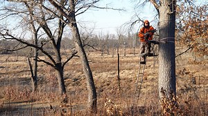 Here's how much Wisconsin hunting license fees would increase in Gov. Tony Evers' budget proposal