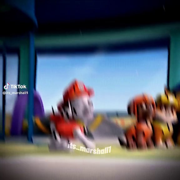 Marshall Paw Patrol Edit Compilation