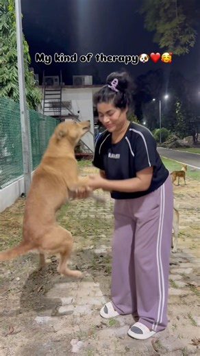 Priceless unconditional therapy🐶❤️#ytshorts #ytviral #shorts #dog #pets #goviral #petlover#cutepets