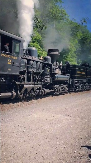 A RARE SIGHT! 5 Shay Locomotives at Cass Railroad