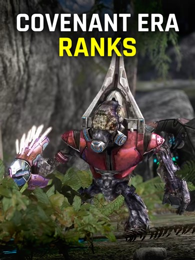 Grunt Covenant Ranks Explained #halo #halolore #fyp #lorewithwes #gaming #shorts #halogrunt #gruntshalo #halo2anniversary #halo3 #haloreach #haloce #halocampaignevolved