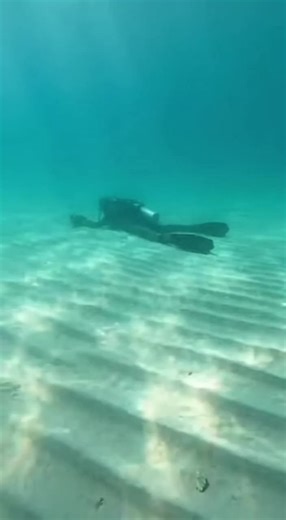 Unveiling the Ocean's Secret Through a Diver's Lens