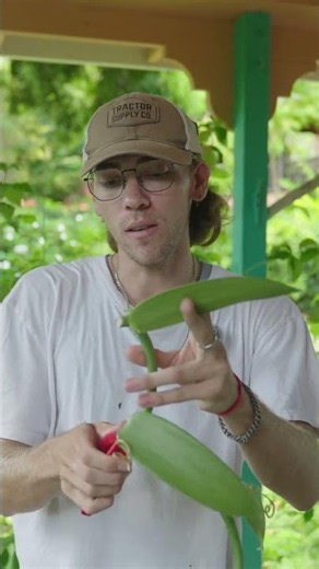 preparing a cutting