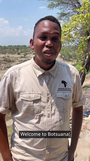 4K views · 61 reactions | Botswana - Africa straight out of a picture book: hippos, elephants, the Victoria Falls and the Okavango Delta. But watch out, if you plan on surviving a safari there, you need to follow a few safety rules! | DW Travel | Facebook