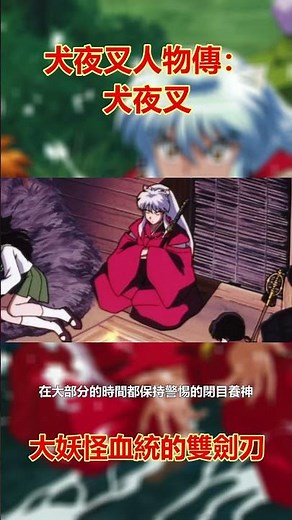 大妖怪血統的雙劍刃 #inuyasha #犬夜叉 #人物故事 #半妖の夜叉姫