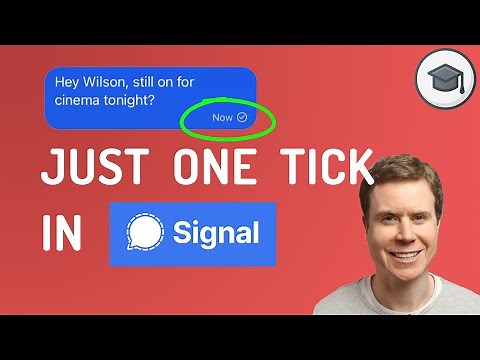 Only One Check Mark On Signal - What Does It Mean?