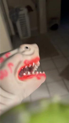 Shark puppet meets dinosaur puppet￼
