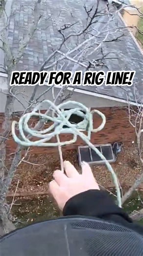 🌳 Arborist in tree 🌳 Ready to set rig line #treework #treeservice