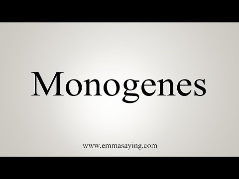 How To Say Monogenes