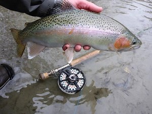 1.5K views · 31 reactions | For the fly anglers..... ------------------------------------- Following feedback from our fly anglers around the region, our new Catch and Release (1 fish) fly only permit allows anglers to keep one fish for the table whilst also enabling these anglers to enter the tagged fish pool. This permit enables fly anglers to enjoy a full day on the bank for only £19 from 9 March. Tight lines | Fishing with Northumbrian Water | Facebook