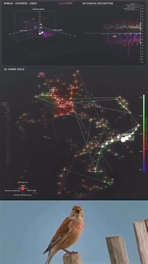 MUTUO on Instagram: "¿Y si el canto de las aves no es solo música, sino telemetría atmosférica? 🐦📡 Gracias a la inteligencia artificial y la bioacústica computacional, los sonidos naturales se analizan para detectar patrones vinculados al clima, la actividad humana y la salud de los ecosistemas. Laboratorios como el Cornell Lab of Ornithology muestran que cambios en frecuencia, ritmo o presencia de especies pueden correlacionarse con variaciones atmosféricas y ambientales. Así, los paisajes so