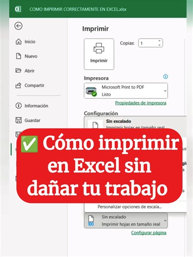 ✅Cómo imprimir en Excel sin dañar tu trabajo 😎📊 #empleo #productividad #motivation #job
