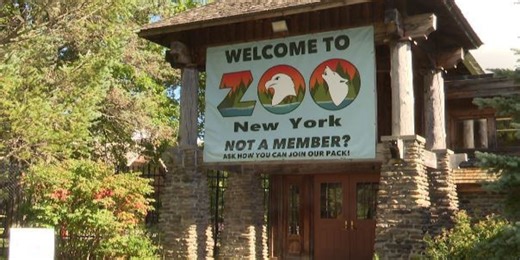 New York Times article spurs national support for Watertown zoo