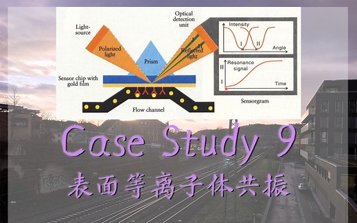 【Case Study8】表面等离子共振 SPR