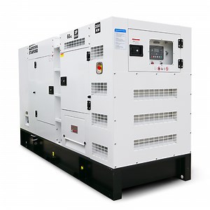 [Hot Item] Generac 7000 Watt Diesel Generator for Home and Business