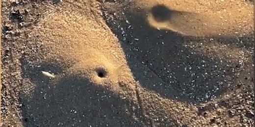 Ghost-like creatures filmed creating ‘mini volcanoes’ along Texas beach