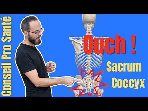 Pain SACRUM and/or COCCYX 5 Exercises to RELIEVE and improve the MOBILITY of the Pelvis
