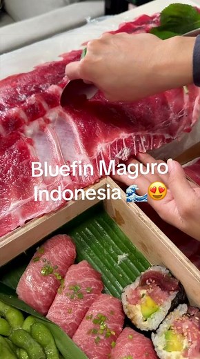 Bluefin Maguro Sushi: Indonesia's Fresh Catch 🌊😍