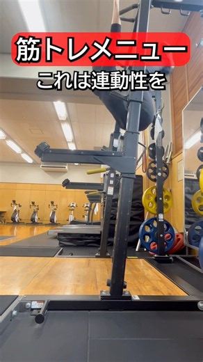 【武術家の筋トレその６】使える体に進化させる！武術的なトレーニングの視点と連動性向上のためのトレーニングを紹介！#筋トレ #トレーニング #武術