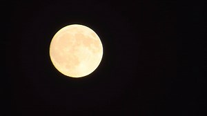 21K views · 1.2K reactions | Have you seen the moon this evening? Beautiful! Tomorrow is the Harvest Moon, or the full moon closest to the autumnal equinox. | FOX26 | Facebook