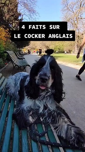 What's up Narcos? sur TikTok