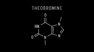 Theobromine Chocolate Molecular Structure Symbol Sketch Stock Footage Video (100% Royalty-free) 1061691319 | Shutterstock