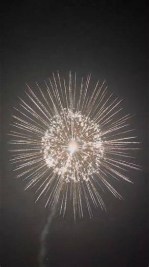 #shell #8 #inch #fireworks #firecracker