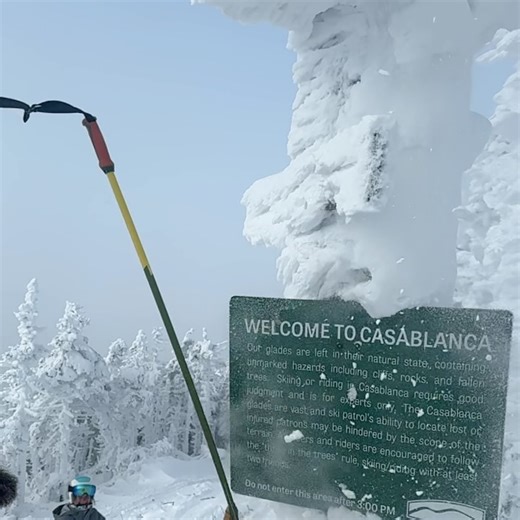 SADDLEBACK MAINE on Reels