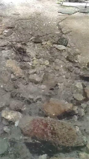 川の綺麗さが抜群