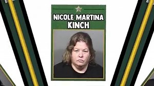 6.4K views · 137 reactions | Brevard County Sheriff's Office, Florida (Official) on Reels | Facebook