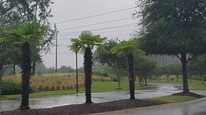 52K views · 43 reactions | Over 5000 outages in the Greater Columbia area. Winds will stay gusty but the rain is the real threat here! Stay safe. By 48 hours from now things should improve! | Chris Bruin | Facebook