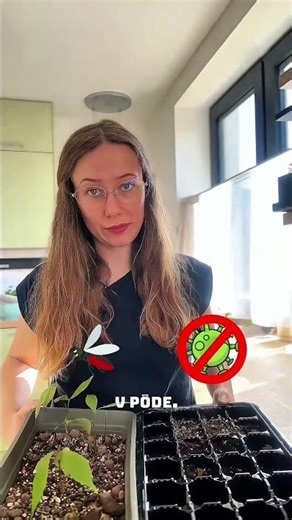 Ako pripraviť substrát na výsev rastlín 🌱