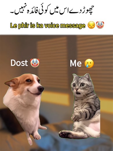 Hilarious Memes Featuring Your Rami Friend