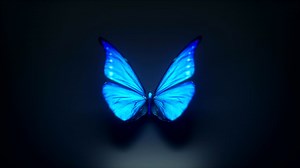 3d Animation of a beautiful blue colored butterfly | Premium Stock Video Footage