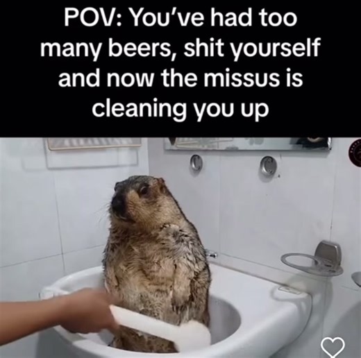 memes (@memehunters_)’s videos with original sound - memes