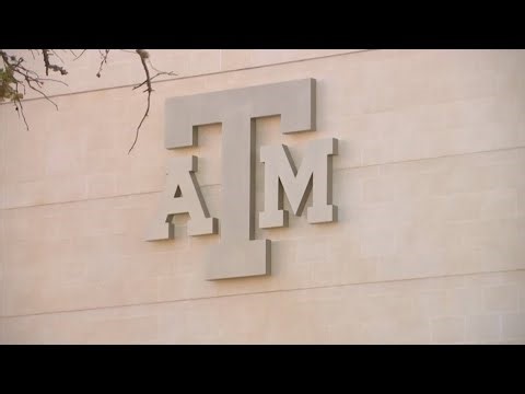 Texas A&M professor out after viral clash over gender identity