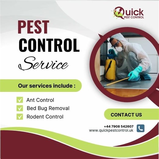 Protect your space with expert pest control solutions | Quick Pest Control