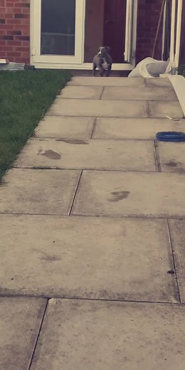 Sean Fagan (@seanfagan07)’s videos with original sound - Sean Fagan