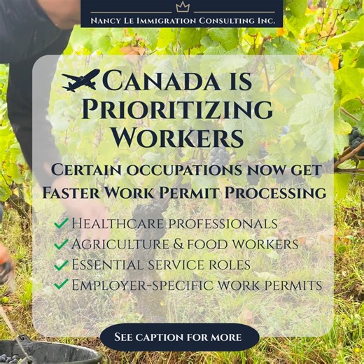 Canada is now processing Work Permit applications for certain occupations on priority 🇨🇦 🔍 Priority Occupations (NOC 2021): 👩‍⚕️ Registered Nurse — NOC 31301 👩‍⚕️ Licensed Practical Nurse — NOC 32101 👨‍⚕️ Nurse Practitioner — NOC 31302 👨‍⚕️ Family Physician / GP — NOC 31102 💊 Pharmacist — NOC 31120 🧪 Medical Lab Technologist — NOC 32120 🌾 Farm Supervisor — NOC 82030 🐄 Livestock Labourer — NOC 85100 🌱 Nursery / Greenhouse Worker — NOC 85103 🥩 Butcher / Meat Cutter — NOC 63201 📌 Impo