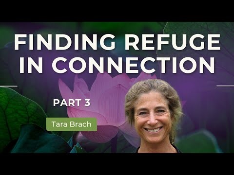 Finding Refuge in Connection | Tara Brach on Stress, Suffering, and Spiritual Awakening (Part 3)
