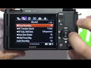 SONY ZV-E10 – How to Access Zebra Settings