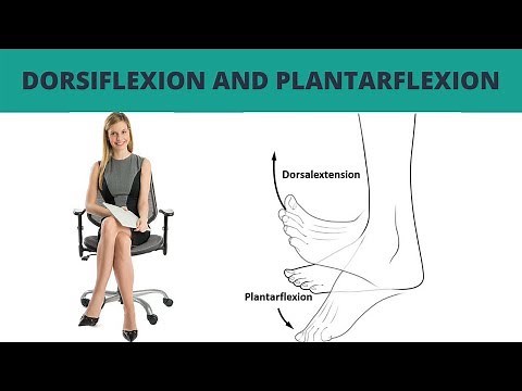 Dorsiflexion and Plantarflexion - TERMINOLOGY #7