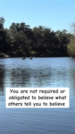 Sandy Cheeks (@sandy..cheeks22)’s videos with Drive - Incubus