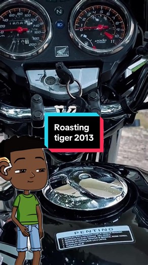 Roasting Honda Tiger 2013: Insights and Comparisons